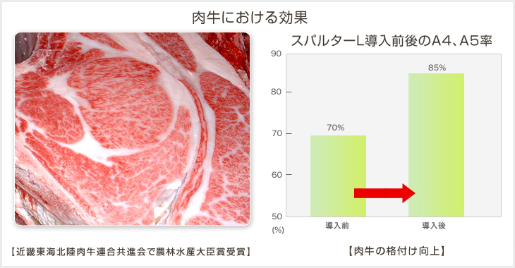 ���᡼������