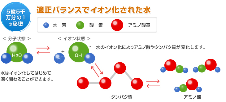 55ʬ1̩ŬХ󥹤ǥ󲽤줿